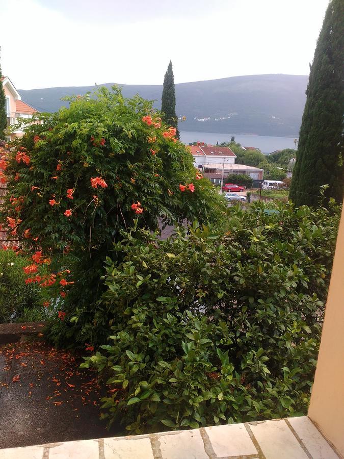 Sobe Baosici Marina Hotel Herceg Novi Exterior foto